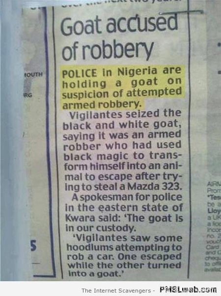 Goat accused of robbery at PMSLweb.com