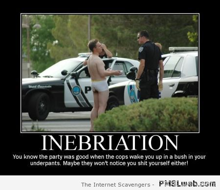 Inebriation demotivational – TGIF funny pics at PMSLweb.com