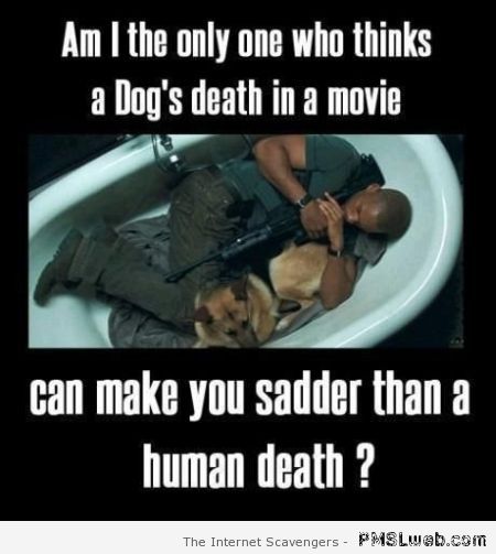 Dog’s death in movie at PMSLweb.com