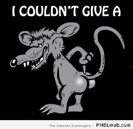 I couldn’t give a rat’s a** - Hump day lolz at PMSLweb.com