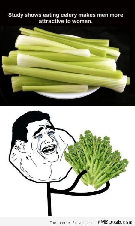 Eating celery makes you more attractive to women at PMSLweb.com