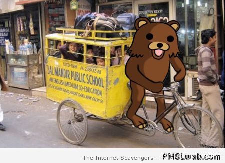 Pedo bear school bus at PMSLweb.com