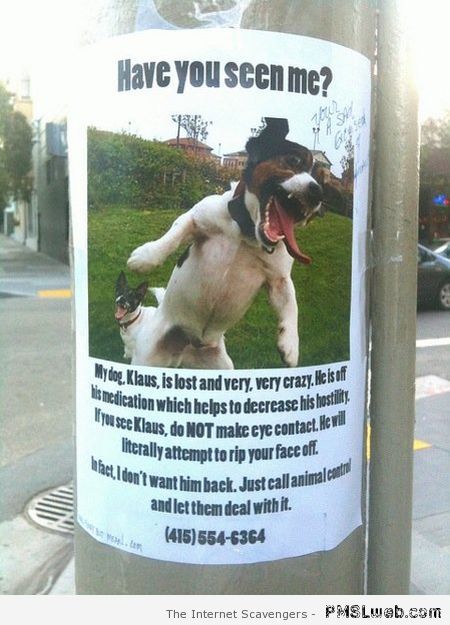 Hilarious lost dog sign at PMSLweb.com