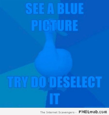 Blue picture prank at PMSLweb.com