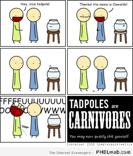Tadpoles are carnivores cartoon at PMSLweb.com