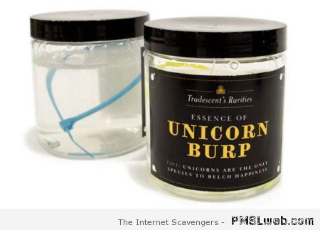 Essence of unicorn burp at PMSLweb.com