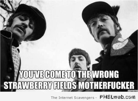 You’ve come to the wrong strawberry fields meme at PMSLweb.com