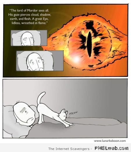 Eye of Sauron cat humor at PMSLweb.com
