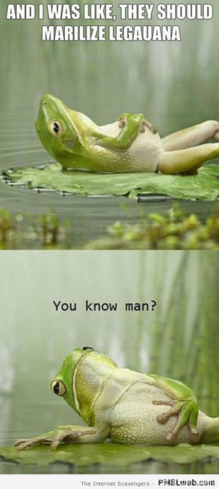 Marijuana frog meme at PMSLweb.com