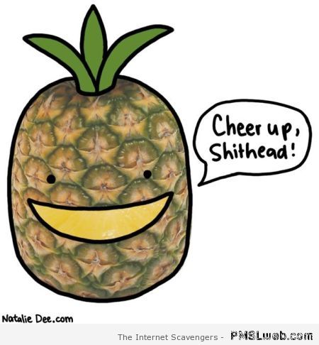 Rude pineapple – Weekend lol at PMSLweb.com