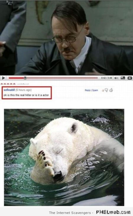 Is this the real Hitler meme � Saturday giggles at PMSLweb.com