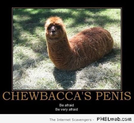 Chewbacca’s penis demotivational at PMSLweb.com