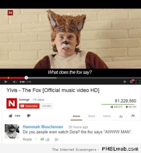 What does the fox say Youtube humor at PMSLweb.com