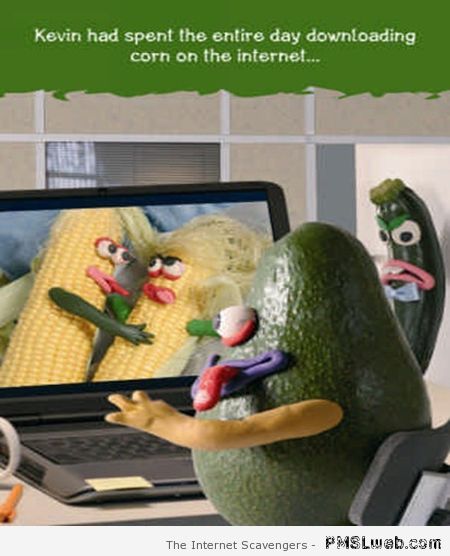 Downloading corn on the internet at PMSLweb.com
