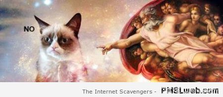 Grumpy cat and the creation of Adam at PMSLweb.com