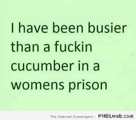 I have been busier than a cucumber quote at PMSLweb.com