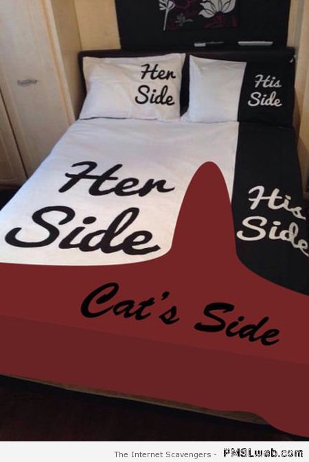 Funny cat’s side in bed at PMSLweb.com