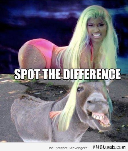 Funny spot the difference – Wednesday funnies at PMSLweb.com