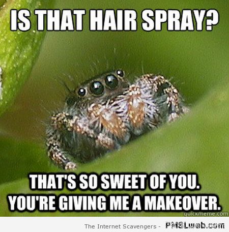 Is that hairspray spider meme at PMSLweb.com