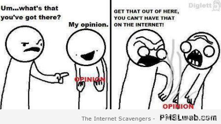 Your opinion on internet humor at PMSLweb.com