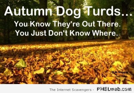 Autumn dog turds humor at PMSLweb.com