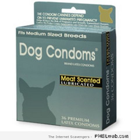 Dog condoms at PMSLweb.com