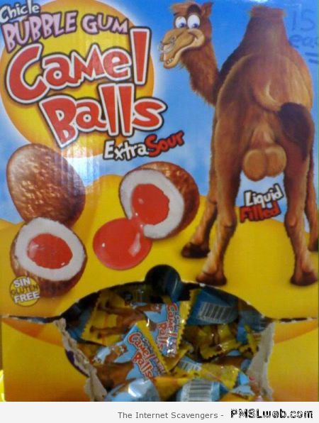 Camel balls bubble gum at PMSLweb.com