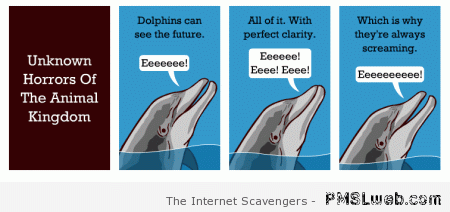 Dolphins can see the future funny at PMSLweb.com