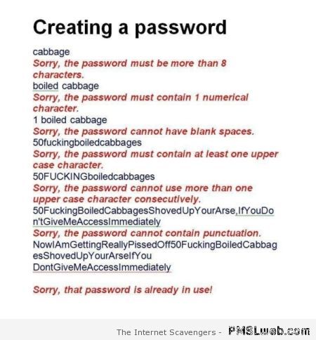 Creating a password humor at PMSLweb.com