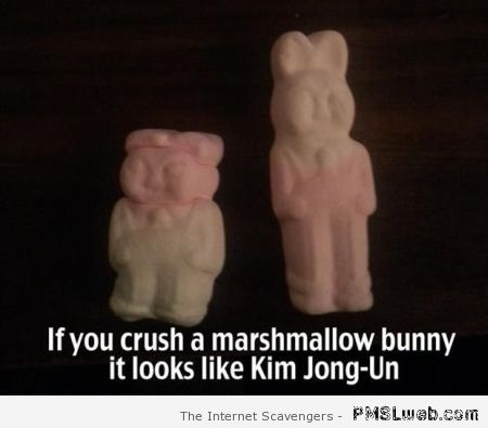 Crushed marshmallow looks like Kim Jong Un at PMSLweb.com