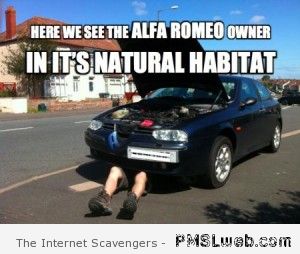 26-alfa-romeo-owner-meme