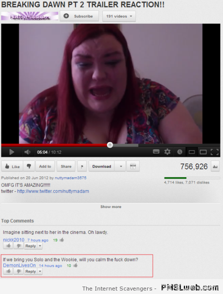 Breaking dawn funny youtube comment at PMSLweb.com