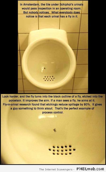 The fly urinal prank at PMSLweb.com