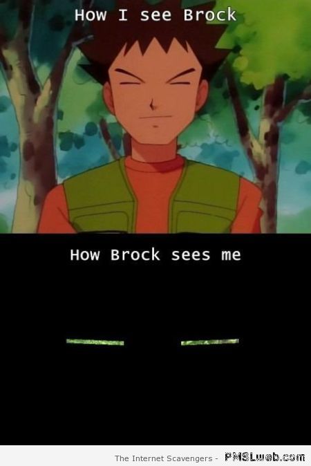 How I see Brock vs how Brock sees me at PMSLweb.com