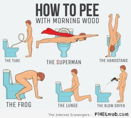 How to pee with morning wood – Hump day funniness at PMSLweb.com