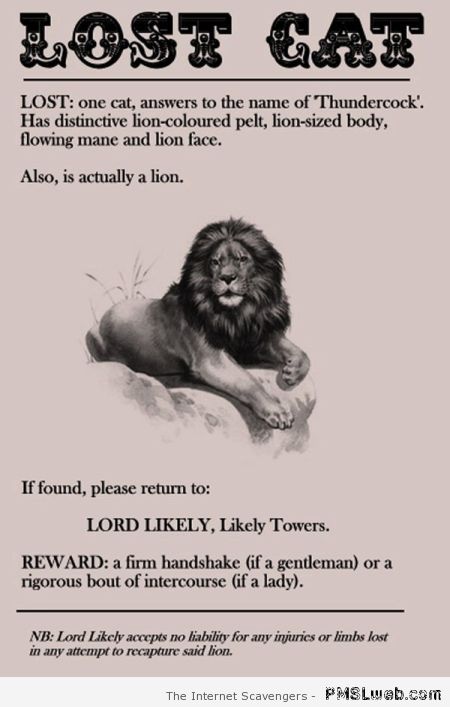 Lost cat lion humor at PMSLweb.com