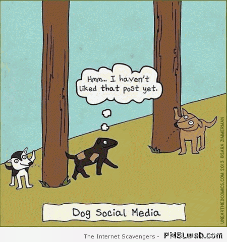 Dog social media at PMSLweb.com