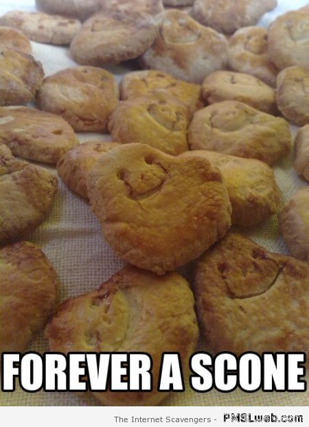 Forever a scone meme at PMSLweb.com