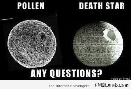 Pollen versus Death Star at PMSLweb.com
