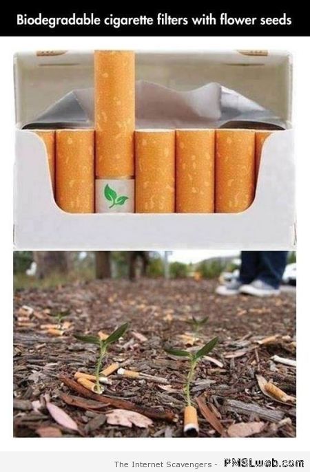 Amazing biodegradable cigarettes – Miscellaneous pictorama at PMSLweb.com