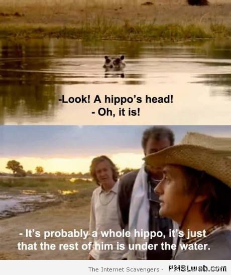 It’s a hippo’s head humor at PMSLweb.com