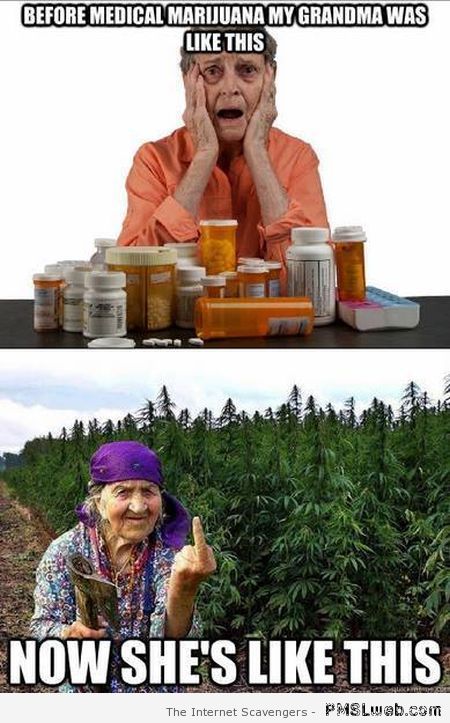 Grandma on marijuana meme at PMSLweb.com