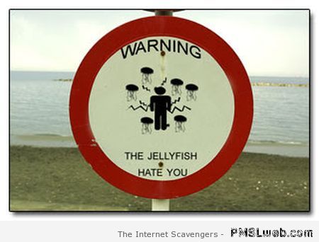 The jellyfish hate you sign – TGIF madness at PMSLweb.com