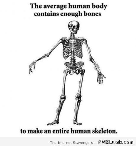 The average human body funny fact at PMSLweb.com