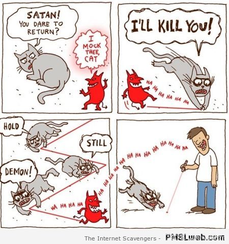 Cat and the red dot humor cartoon at PMSLweb.com