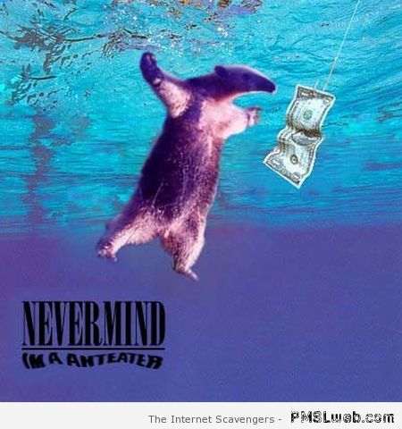 Nevermind anteater album humor at PMSLweb.com