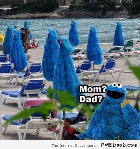 Cookie monster finds his parents humor at PMSLweb.com