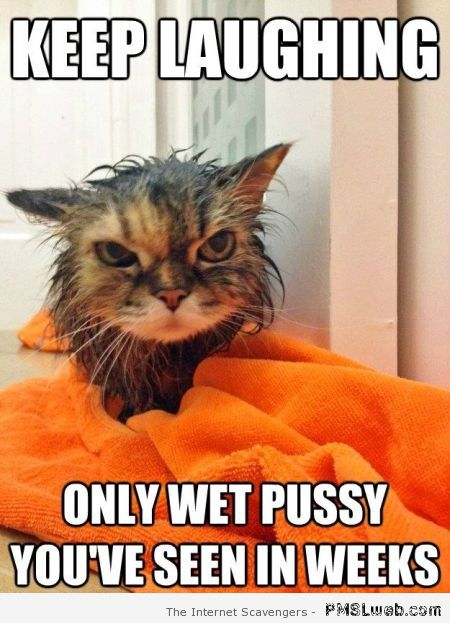 Funny wet pussy meme at PMSLweb.com