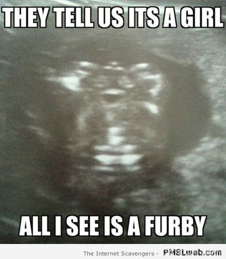 Pregnant with a Furby meme at PMSLweb.com