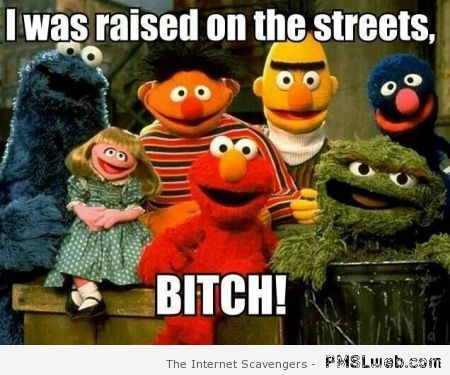 Raised on the Sesame Street meme at PMSLweb.com